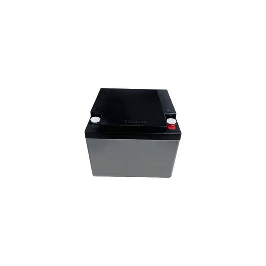 RB12260 IT battery