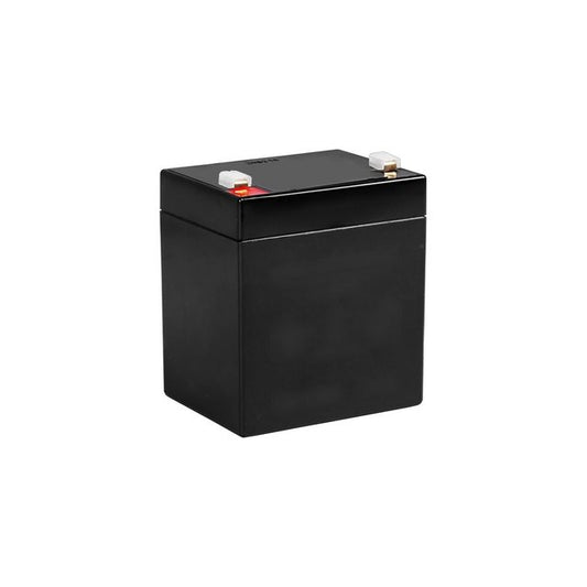 RB1250 F2 battery