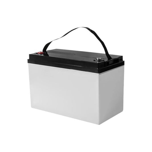 REV12-110S battery